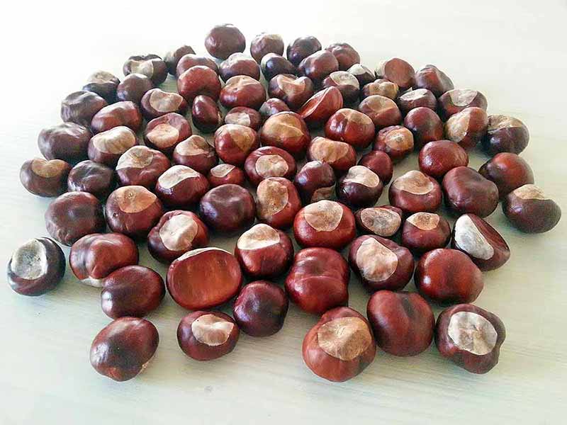 Detergent de rufe din castane